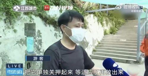 吃瓜霸凌账号,网络暴力背后的黑暗面