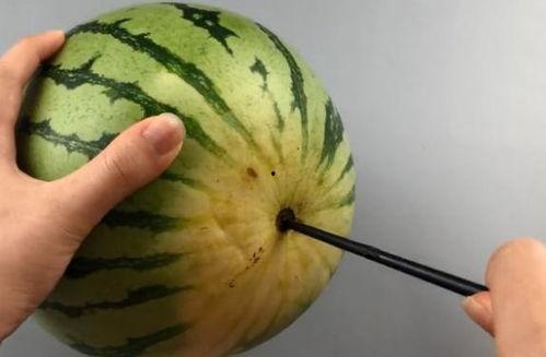 筷子姐吃瓜,揭秘娱乐圈那些不为人知的幕后故事