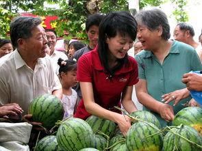 管小姐吃瓜,揭秘娱乐圈幕后故事