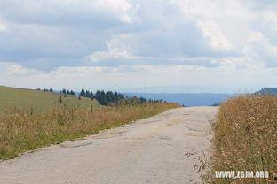 梦到地里摘瓜吃,地里摘瓜的奇幻之旅