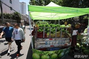 吃瓜群众卖什么,揭秘他们的“瓜”与“卖瓜”之道