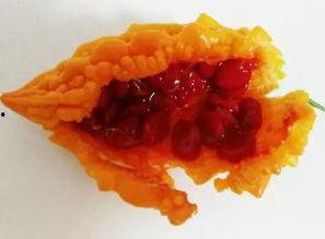 懒懒吃瓜版,揭秘娱乐圈幕后故事