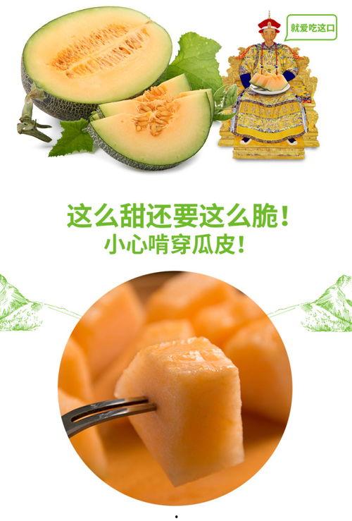 佳伟吃蜜瓜,佳伟甜蜜蜜瓜之旅