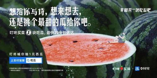 喝茶吃瓜文案怎么写,品味生活雅趣