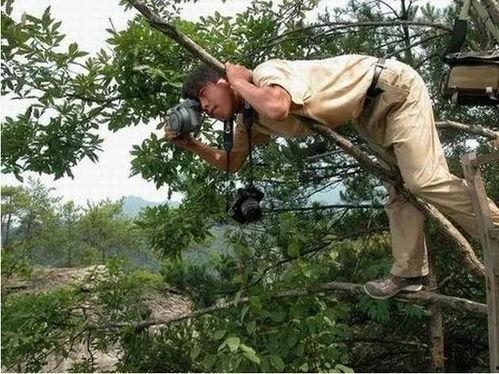 树下吃瓜拍照姿势,创意拍照姿势大揭秘