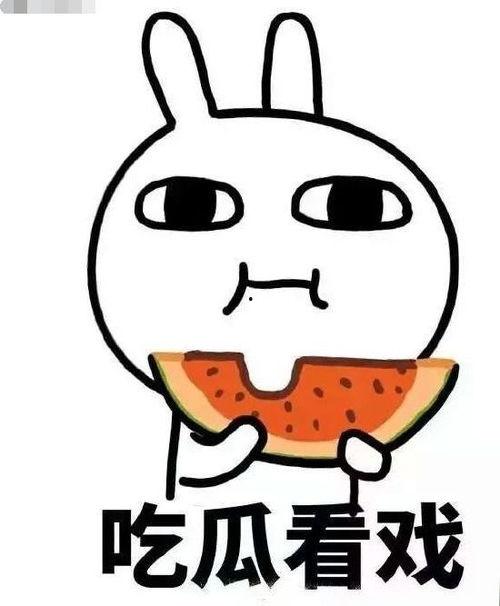 吃瓜和买东西,揭秘购物与吃瓜的奇妙联系