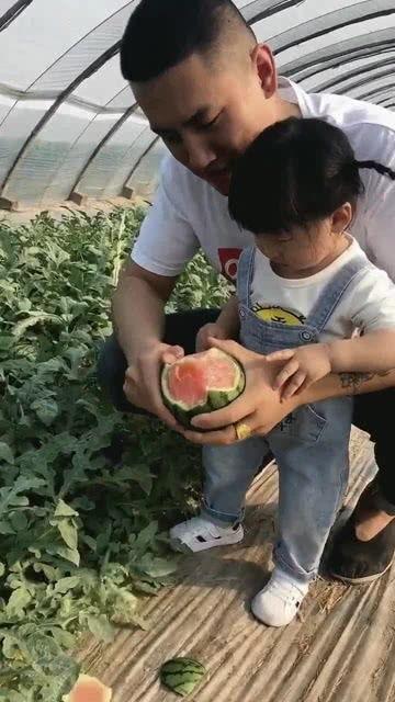 小宝吃瓜,揭秘娱乐圈那些不为人知的幕后故事