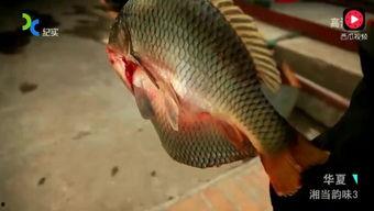 怎样吃瓜榕,传统美食新体验