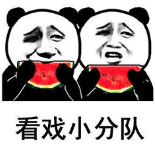 女子吃瓜表情包,揭秘网络社交中的趣味与讽刺
