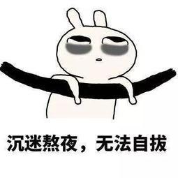 吃瓜熬夜照片搞笑,笑出腹肌的搞笑瞬间
