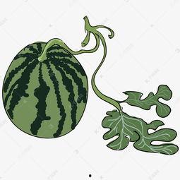 吃瓜的绘画图片,一幅绘画的趣味解读