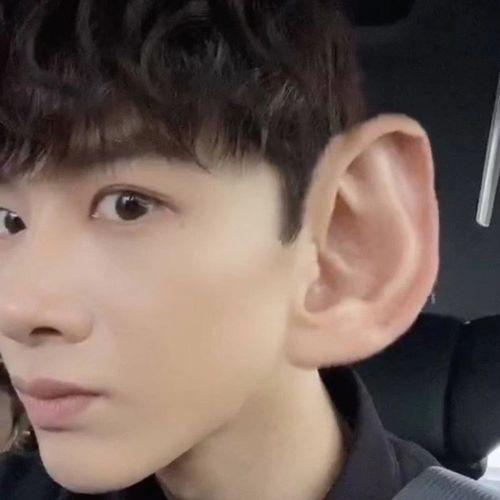 表情包姐妹吃瓜视频大全,盘点热门表情包姐妹吃瓜视频大全