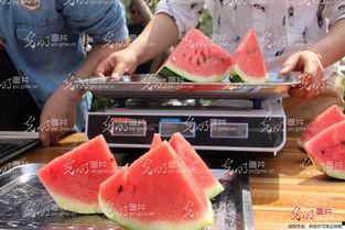 山东曹县吃瓜视频,一场网络狂欢背后的乡土风情