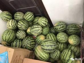 吃瓜大赛今日最新一期视频,瓜王争霸，笑料横生，精彩瞬间大盘点！