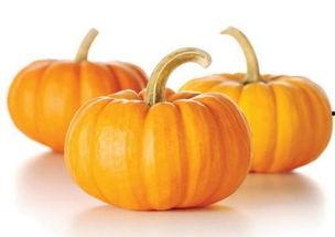 南瓜吃瓜事件图片高清视频,高清视频揭示惊人真相