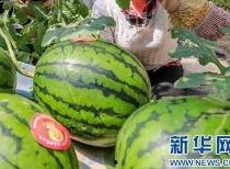 山东疫情吃瓜最新消息视频