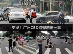 广州撞人吃瓜视频最新版